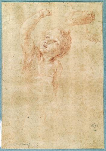 Putto