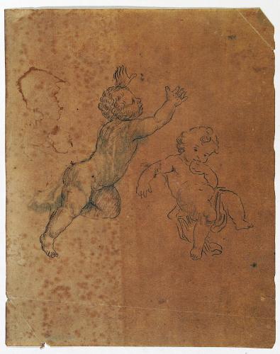 Putti