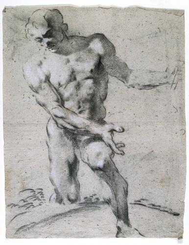 Figura maschile nuda