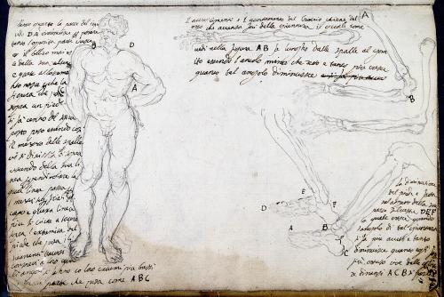 Figura maschile nuda / ossa