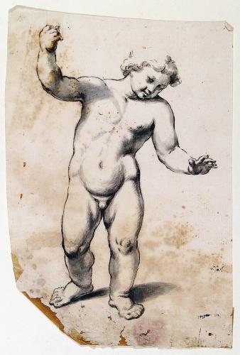 Putto