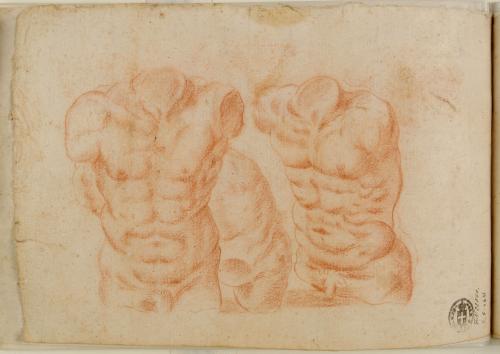 STUDI DI TORSO VIRILE