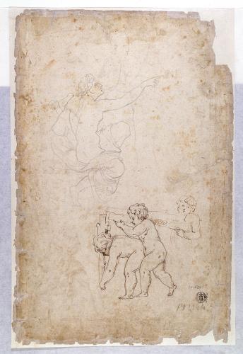 STUDIO DI PUTTI