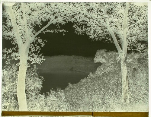 Dintorni di Roma - Genzano e il lago di Nemi