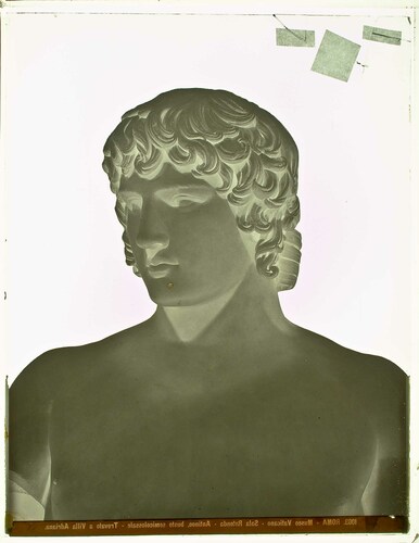 Roma - Museo Vaticano - Sala Rotonda - Antinoo, busto semicolossale - trovato a Villa Adriana