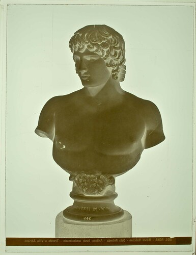 Roma - Museo Vaticano - Sala Rotonda - Antinoo, busto semicolossale - Trovato a Villa Adriana
