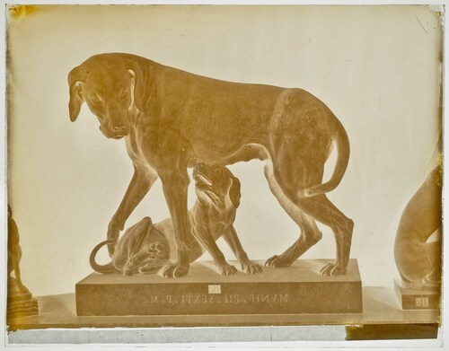 Roma - Musei Vaticani - Sala degli animali - Cagna da caccia con il suo cagnolino