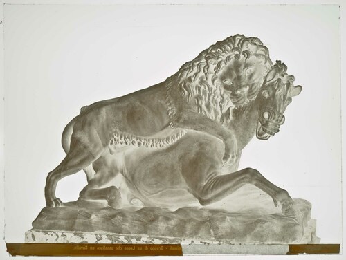 Roma - Museo Vaticano - Gruppo di un leone che assalisce un cavallo