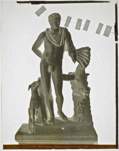 Roma - Museo Vaticano - Meleagro, capolavoro di scultura Greca