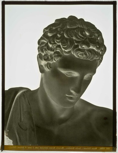 Roma - Museo Vaticano - Cortile Belvedere - Mercurio Hermes conosciuto sotto il nome di Antinoo (Dettaglio)