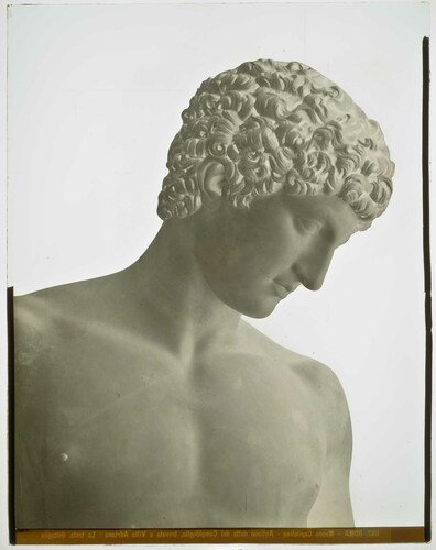 Roma - Museo Capitolino - Antinoo detto del Campidoglio, trovata a Villa Adriana - La testa, dettaglio