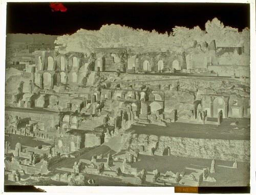 Panorama del Palatino con i Palazzi di Caligola e Tiberio (I Secolo).