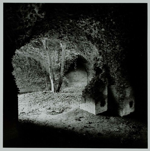 Ostia antica, 1991