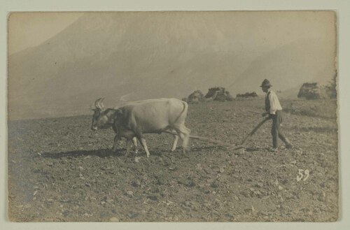 Contadino durante l'aratura di un campo