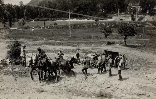 Trasporto di artiglieria a cavallo