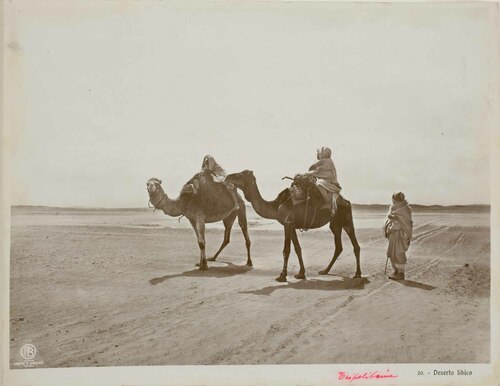 Deserto libico