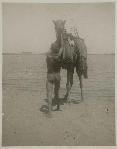 Uomo nudo con dromedario nel deserto