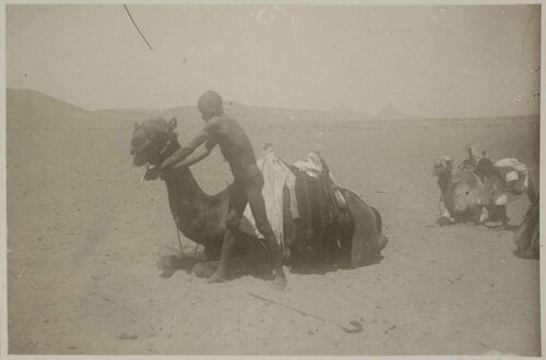 Uomo nudo con dromedario nel deserto