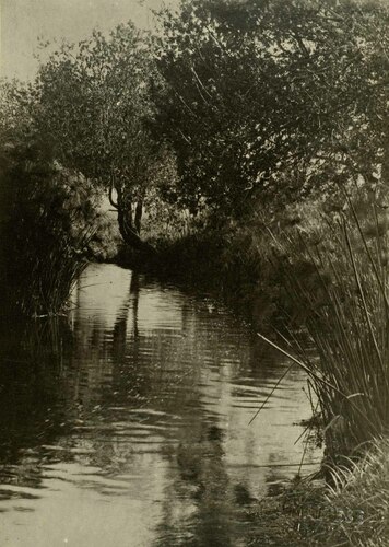 Paesaggio fluviale