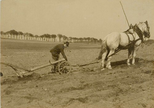 Aratura di un campo