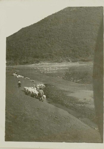 Paesaggio montano con  pastori e gregge