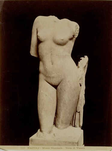 NAPOLI - Museo Nazionale - Torso di Venere