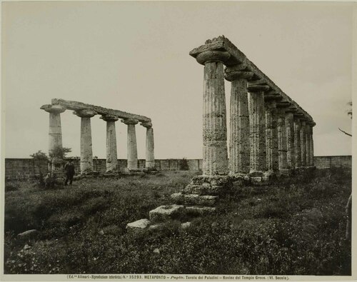 METAPONTO - Puglie. Tavola dei Paladini - Rovine del Tempio Greco (...)