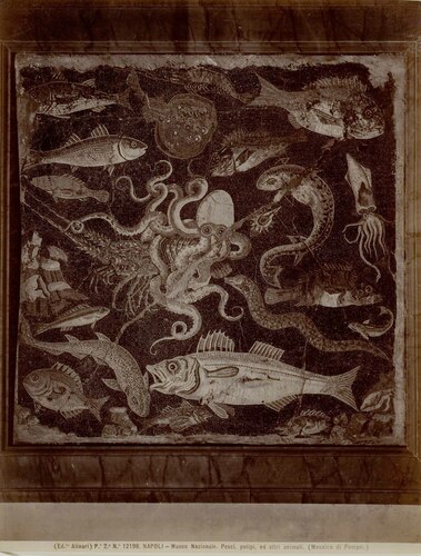 NAPOLI - Museo Nazionale. Pesci, polipi, ed altri animali. (Mosaico di Pompei.)