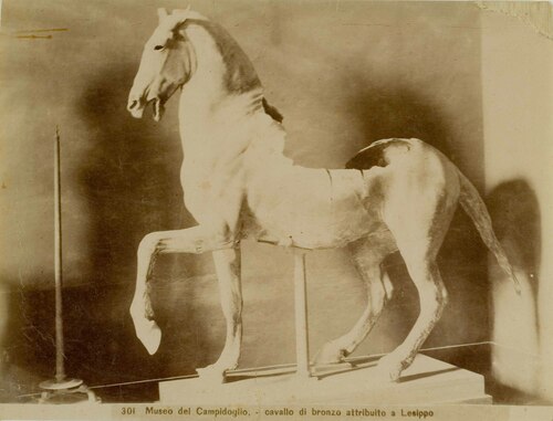 Museo del Campidoglio, - cavallo di bronzo attribuito a Lesippo