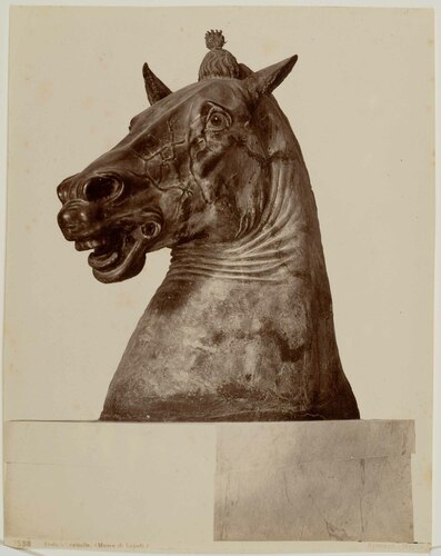 Testa di cavallo. Museo di Napoli