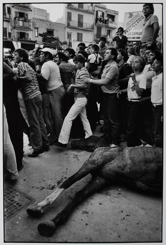Mussomeli, 1981. Celebrazione di San Giusto. La corsa continua.