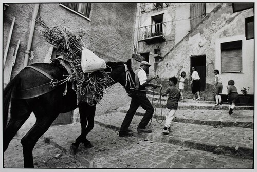 Pollina, 1986.