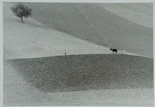 Toscana, 1958